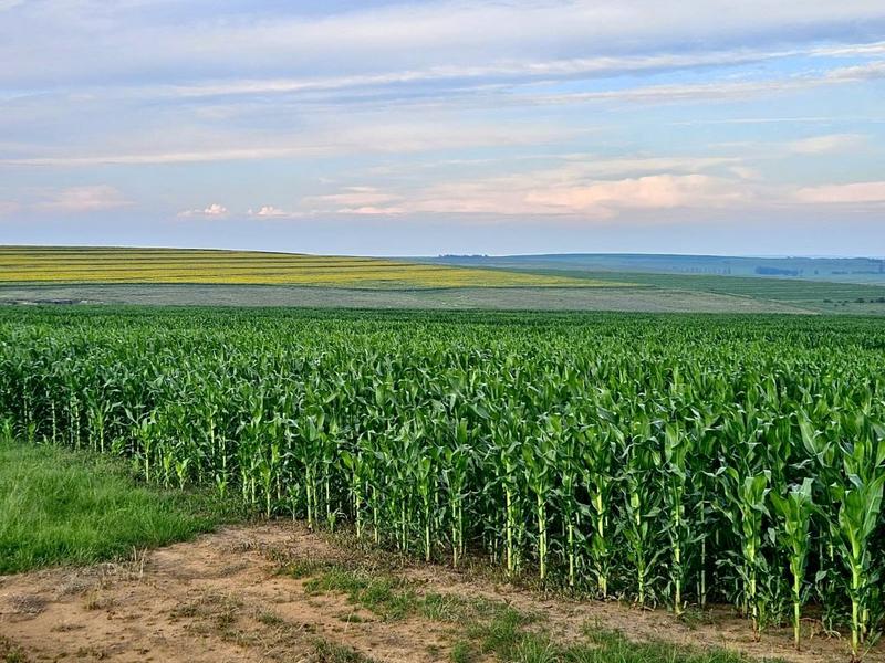 0 Bedroom Property for Sale in Bethlehem Rural Free State